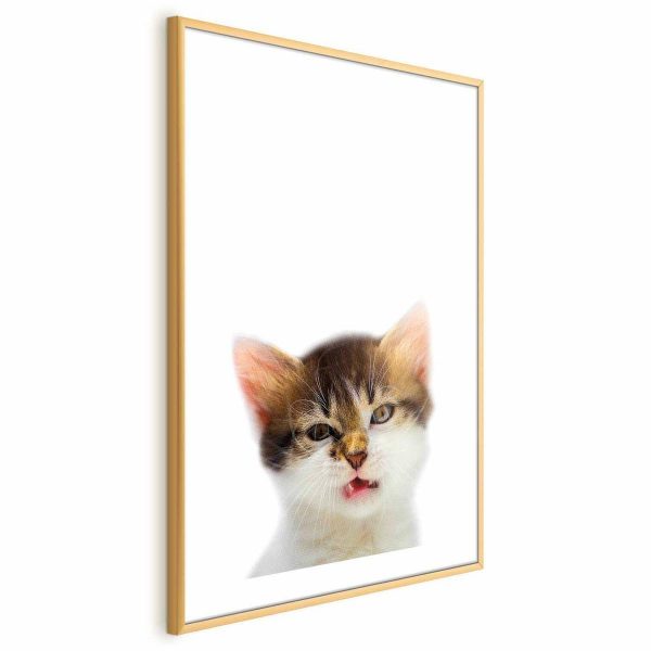 Poster - Annoyed Cat