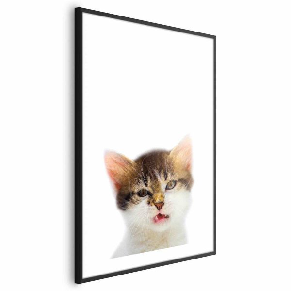 Poster - Annoyed Cat
