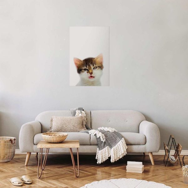 Poster - Annoyed Cat