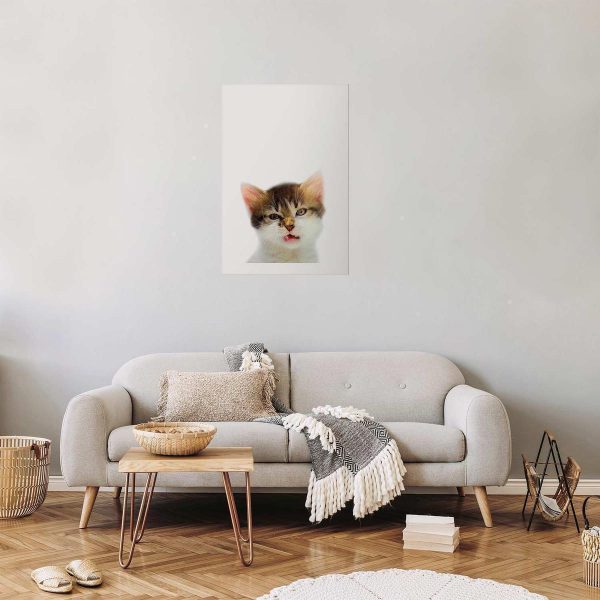 Poster - Annoyed Cat