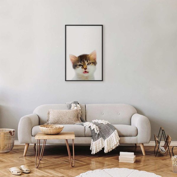 Poster - Annoyed Cat