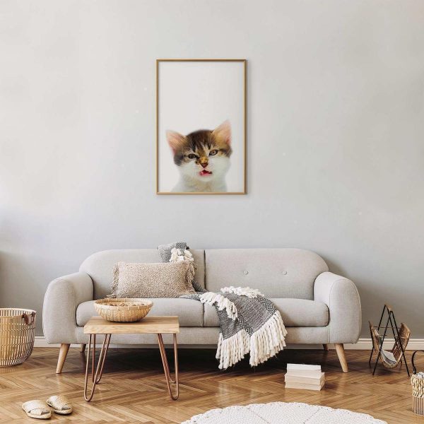 Poster - Annoyed Cat