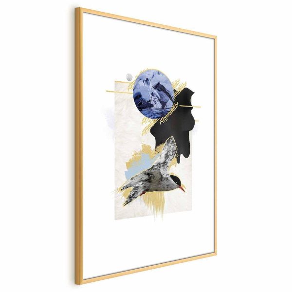 Poster - Antarctic Tern