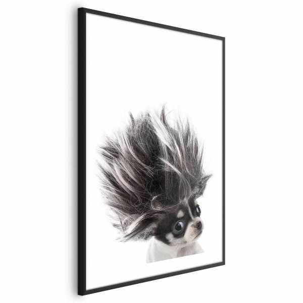 Poster - Chihuahua
