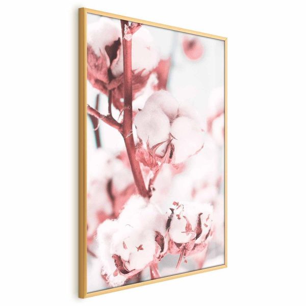 Poster - Cotton in Bloom