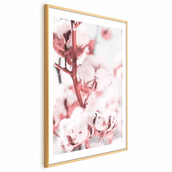 Poster - Cotton in Bloom