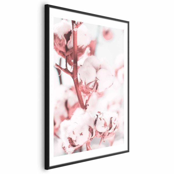 Poster - Cotton in Bloom