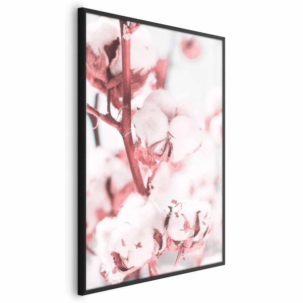 Poster - Cotton in Bloom