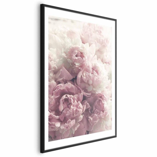 Poster - Delicate Peonies