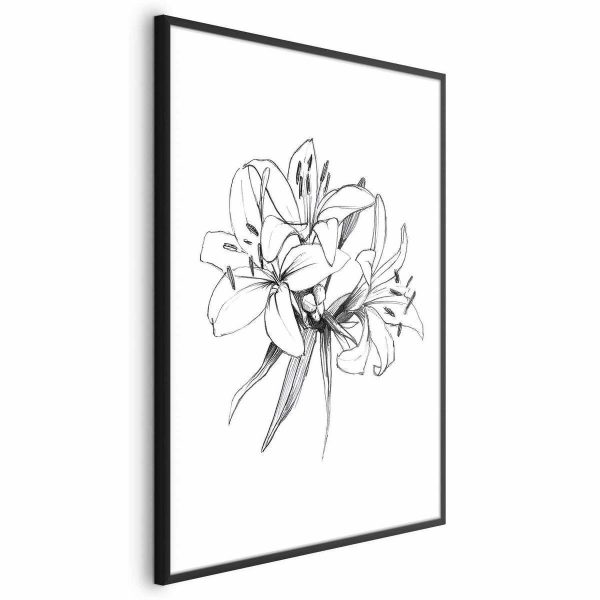 Poster - Drawn Flowers
