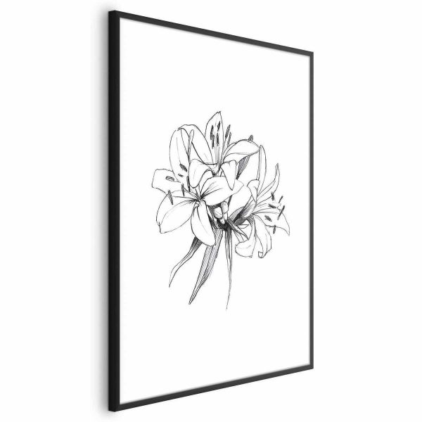 Poster - Drawn Flowers