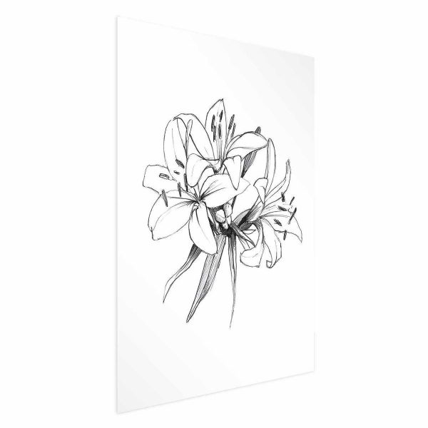 Poster - Drawn Flowers