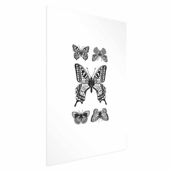 Poster - Five Butterflies