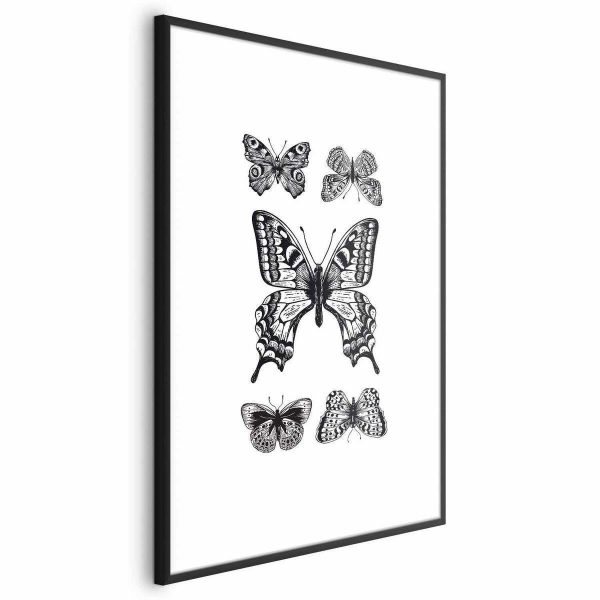 Poster - Five Butterflies