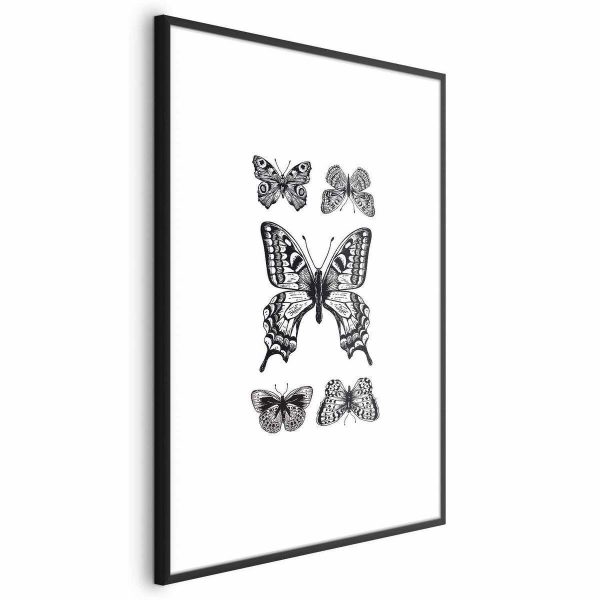 Poster - Five Butterflies