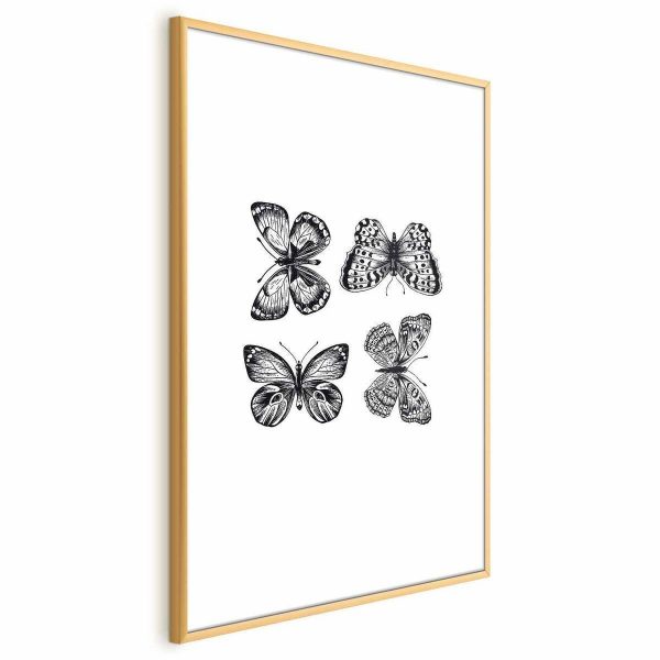 Poster - Four Butterflies