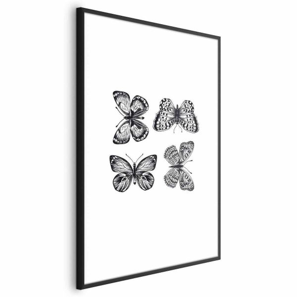 Poster - Four Butterflies