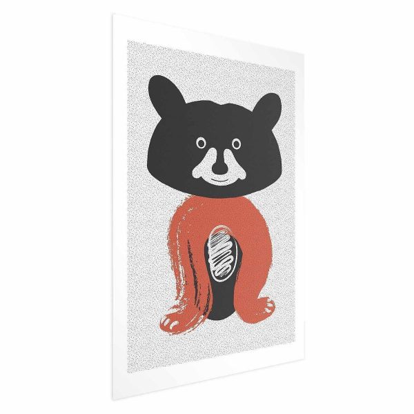Poster - Friendly Mr Raccoon