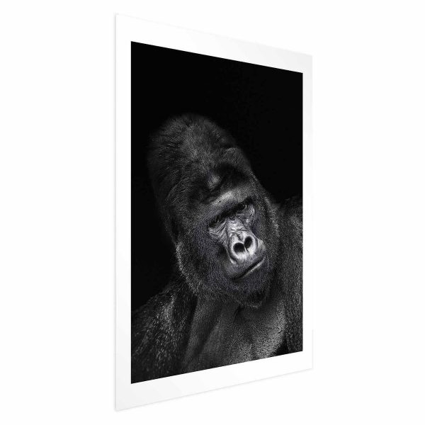 Poster - Gorilla