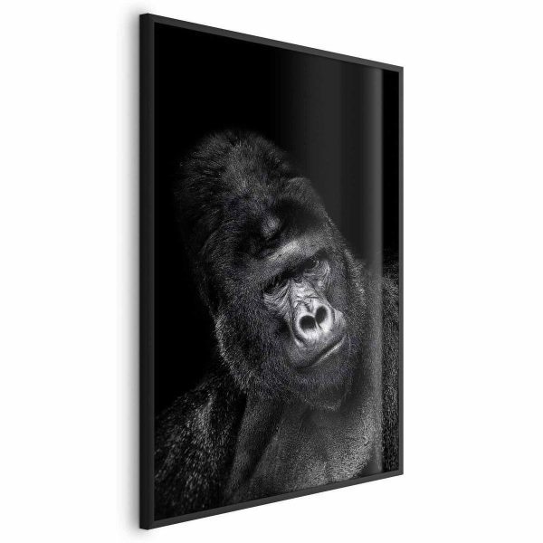 Poster - Gorilla