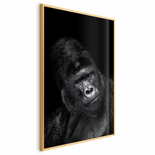 Poster - Gorilla