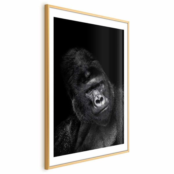 Poster - Gorilla