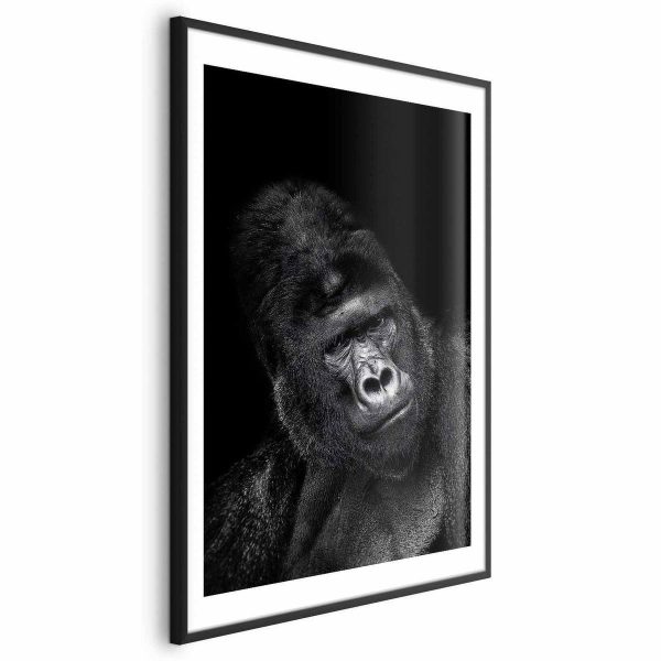 Poster - Gorilla
