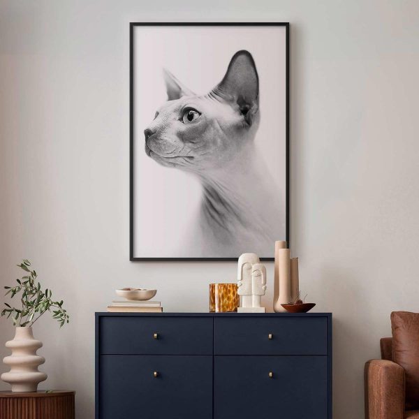 Poster - Hairless Cat