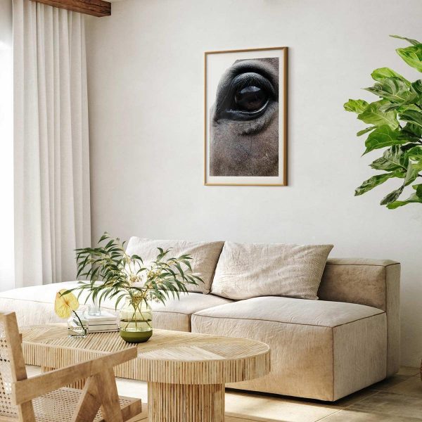 Poster - Honest Eyes