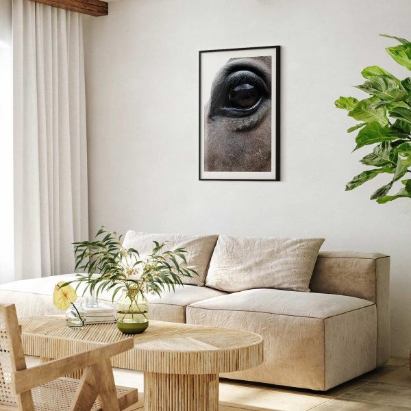 Poster - Honest Eyes