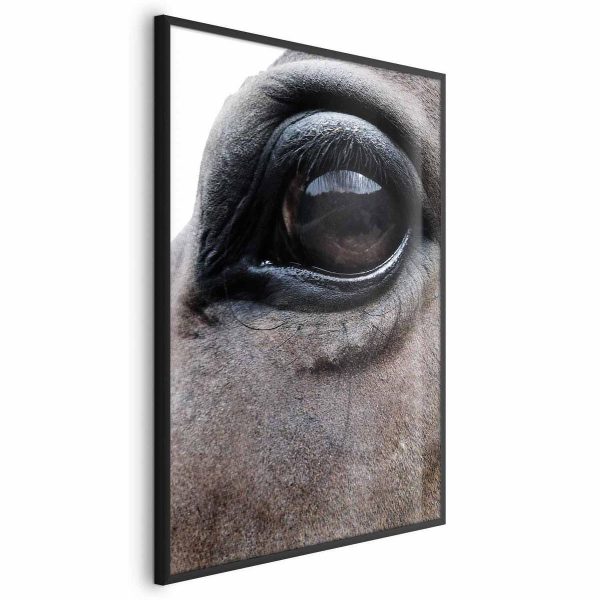 Poster - Honest Eyes