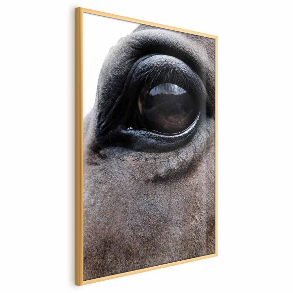 Poster - Honest Eyes
