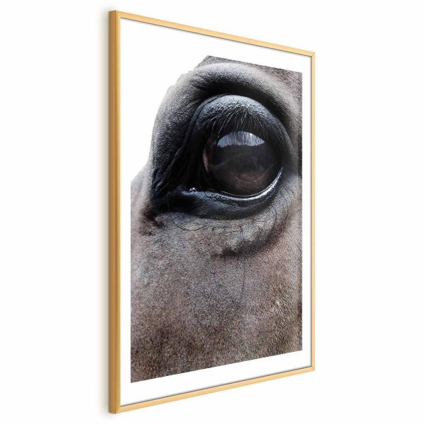 Poster - Honest Eyes