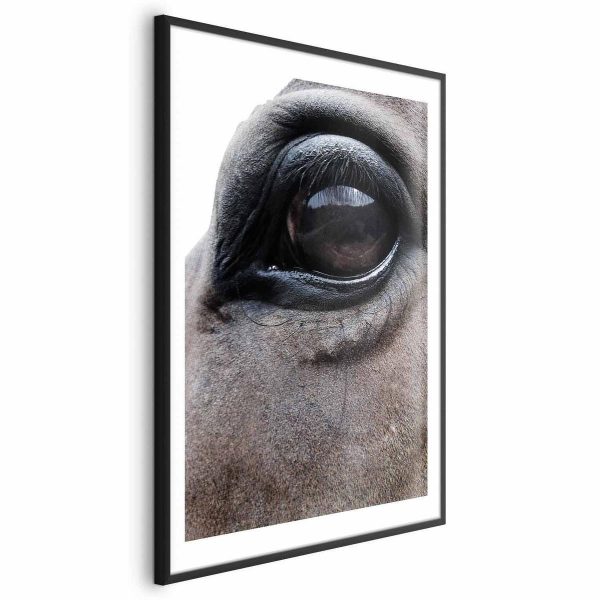 Poster - Honest Eyes