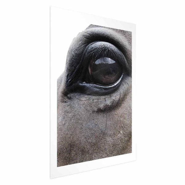 Poster - Honest Eyes