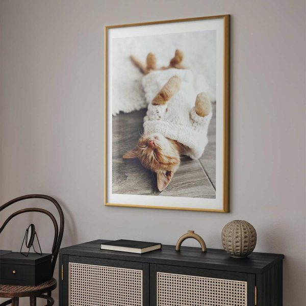Poster - Lazy Cat