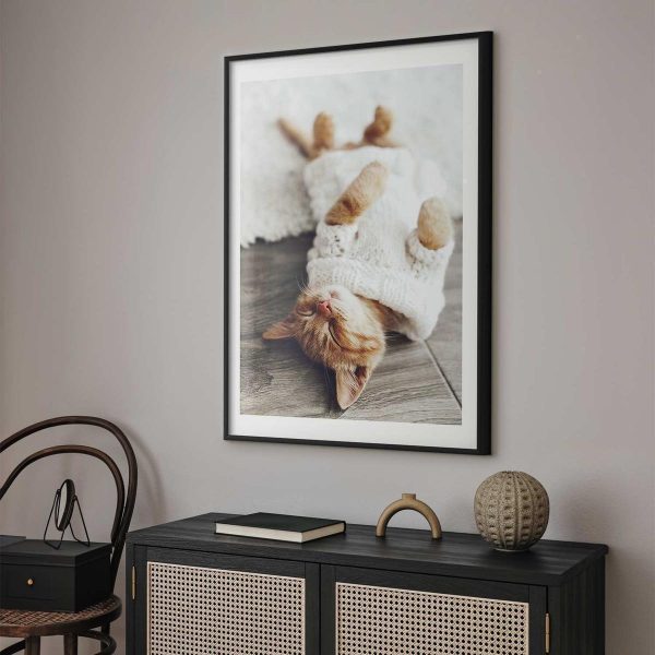 Poster - Lazy Cat