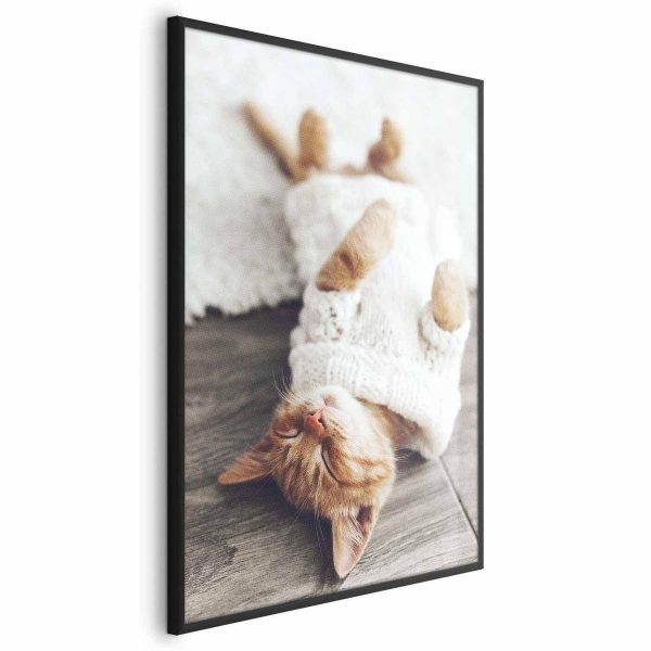 Poster - Lazy Cat