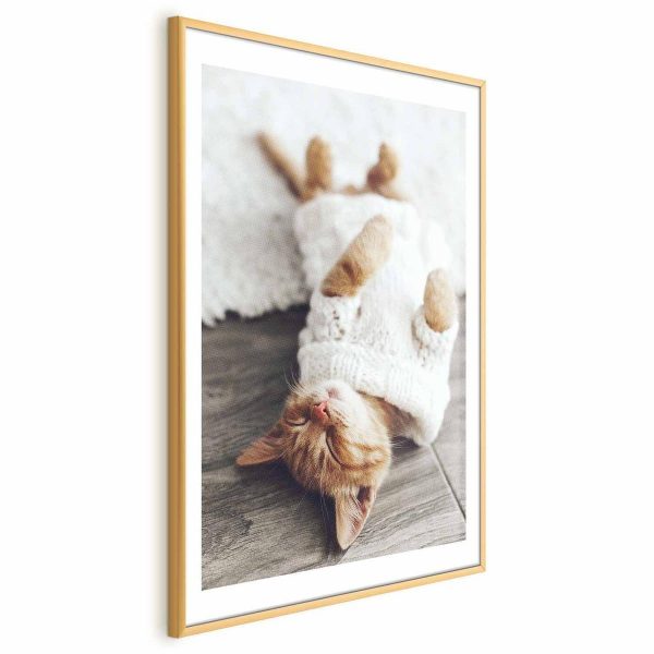 Poster - Lazy Cat
