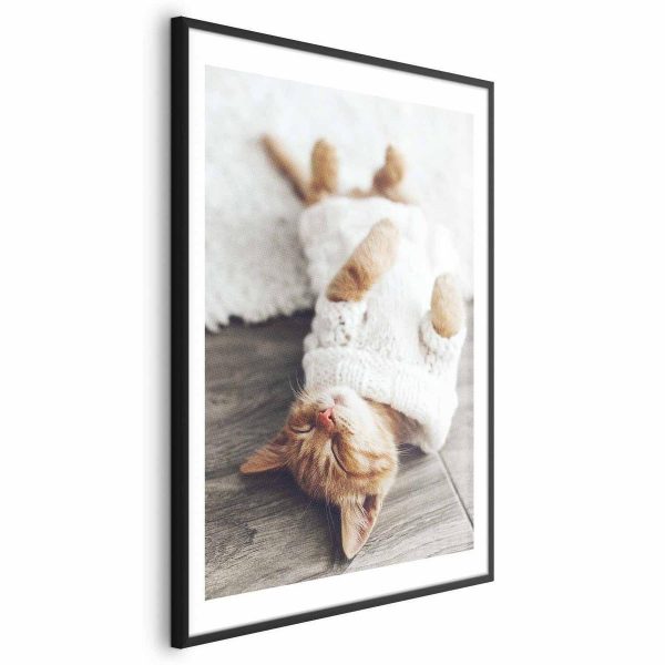 Poster - Lazy Cat