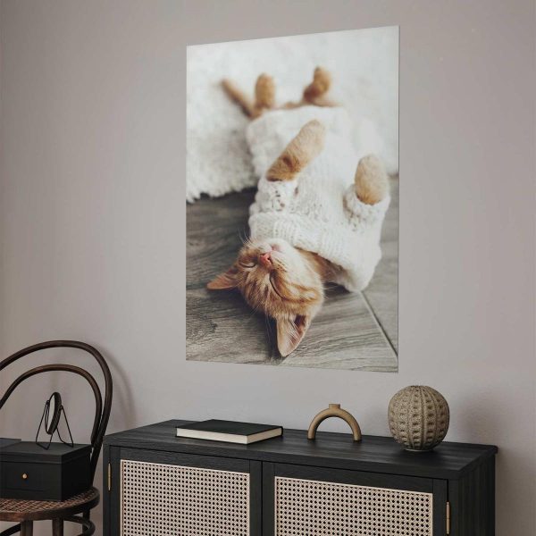 Poster - Lazy Cat