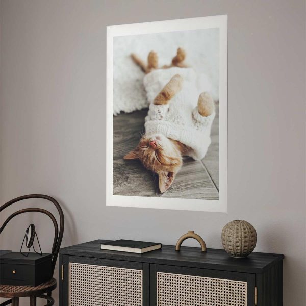 Poster - Lazy Cat