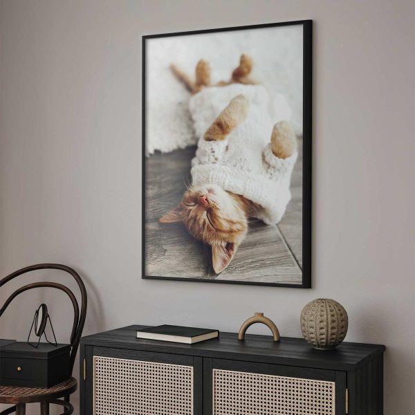 Poster - Lazy Cat