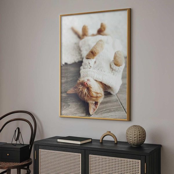 Poster - Lazy Cat