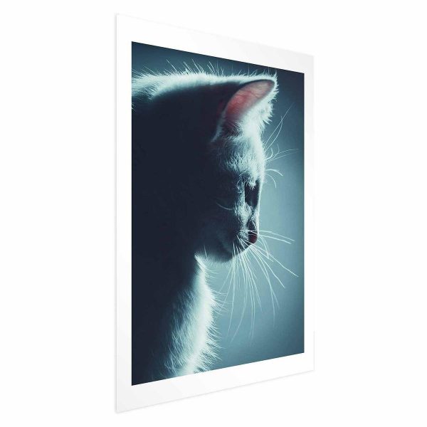 Poster - Night Wanderer
