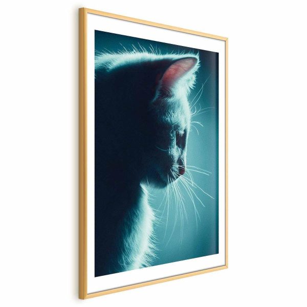 Poster - Night Wanderer
