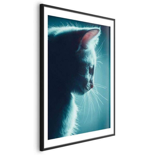 Poster - Night Wanderer