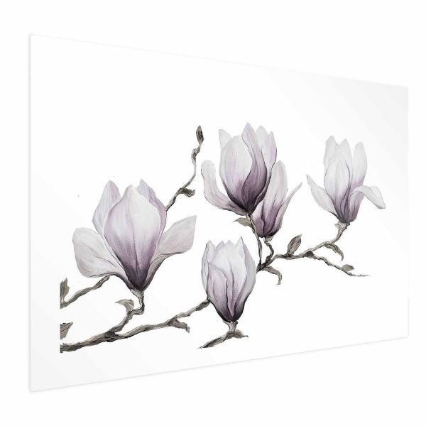 Poster - Painted Magnolias