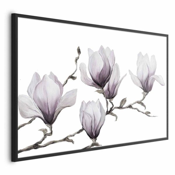 Poster - Painted Magnolias