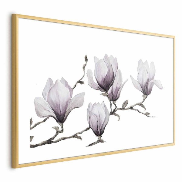 Poster - Painted Magnolias